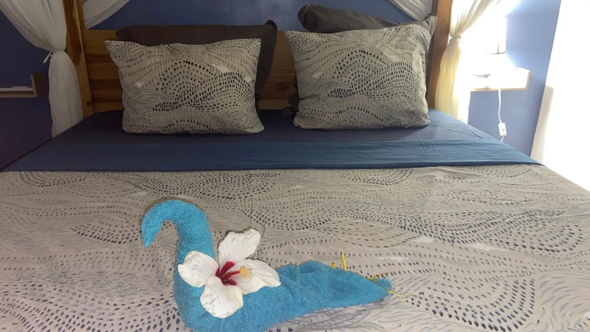 Colibri Villa Sainte Luce Martinique