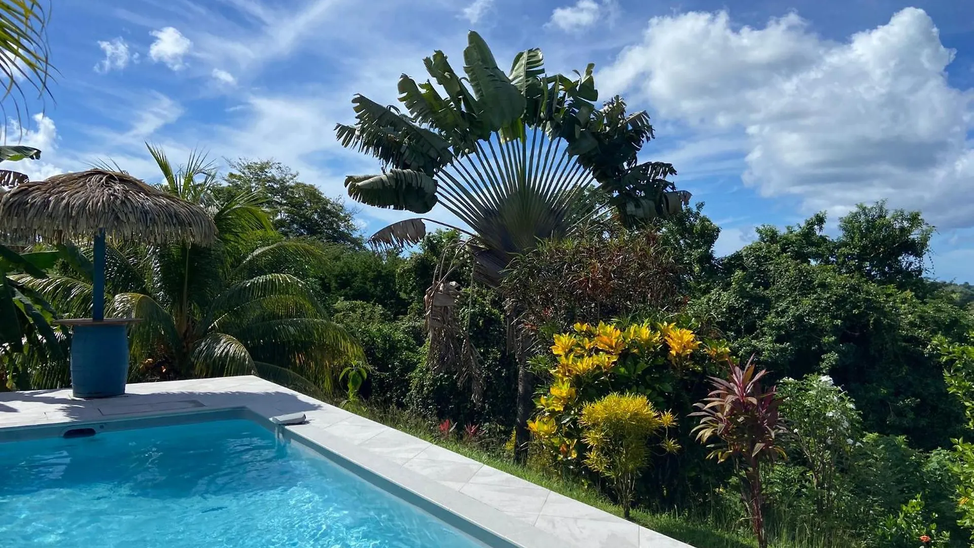 Apartment Colibri Villa Sainte Luce Martinique