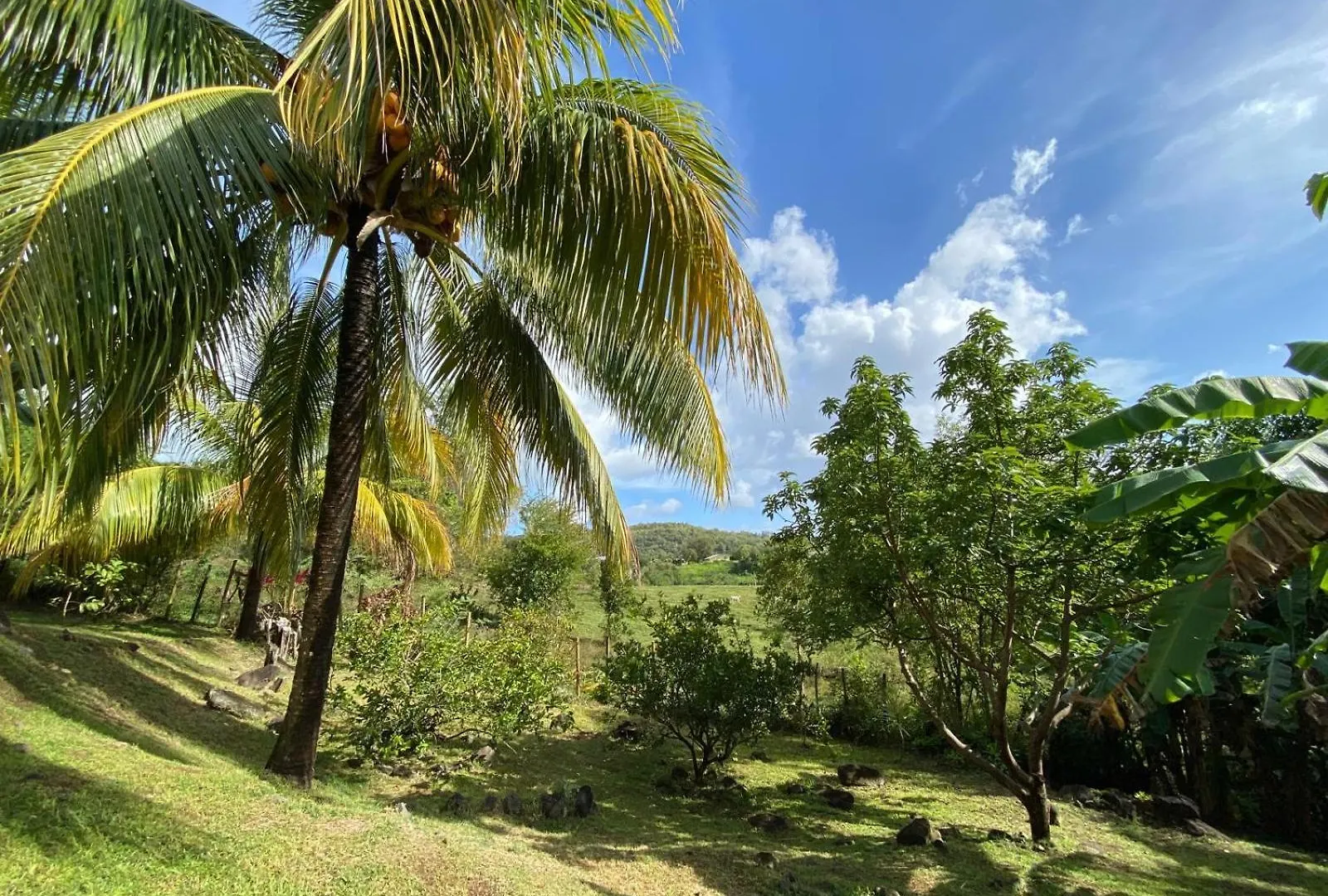 Colibri Villa Sainte Luce Apartment
